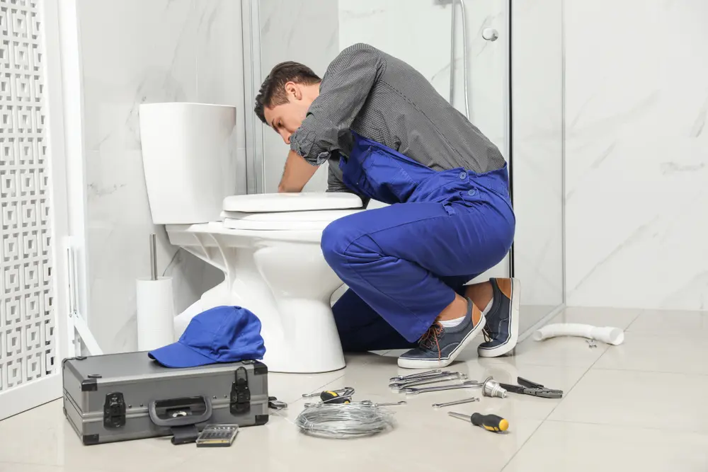 Toilet Installation in Clayton